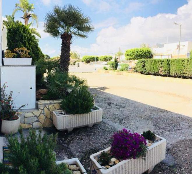 Vibes 1 Linea De Playa Mojacar